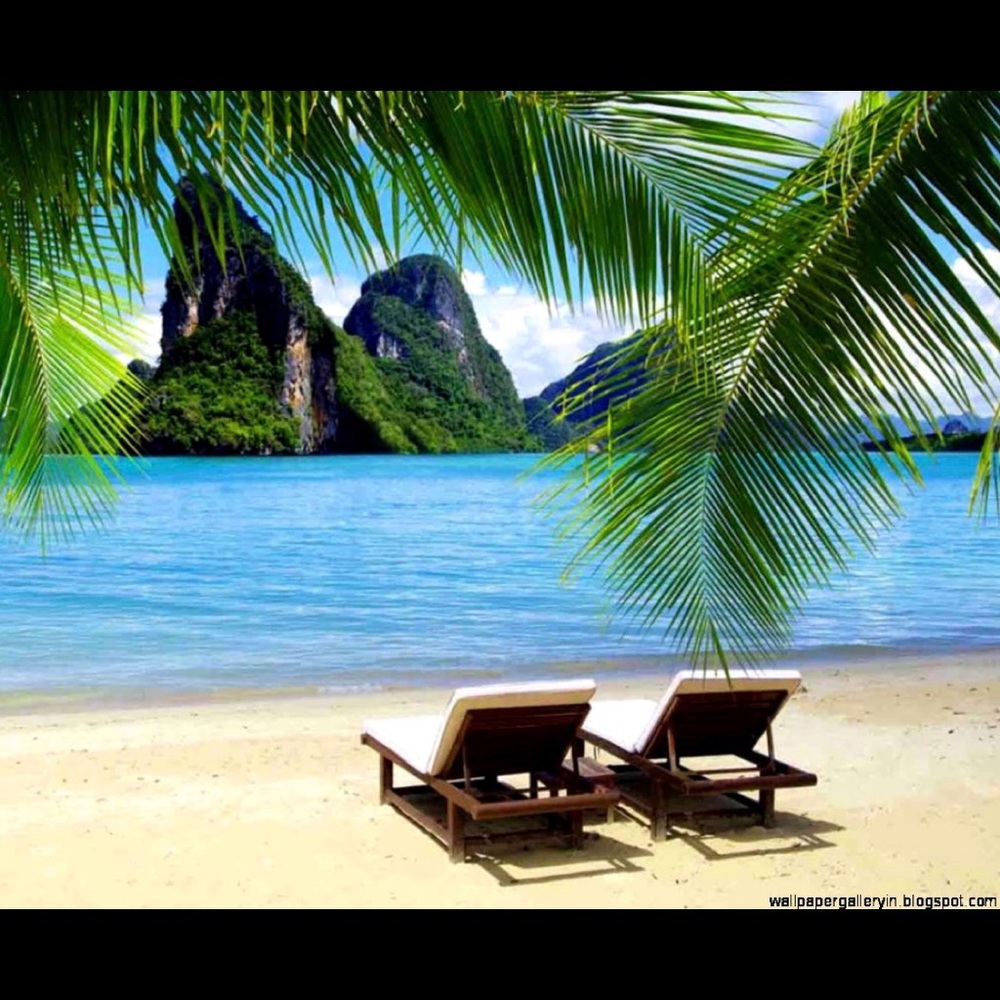 Going on vacation!   Closed until Jan 20th.